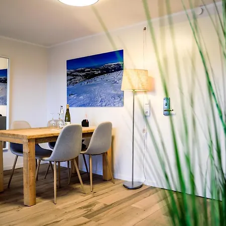 Smart Resorts Haus Diamant Ferienwohnung 712 Winterberg Exterior foto